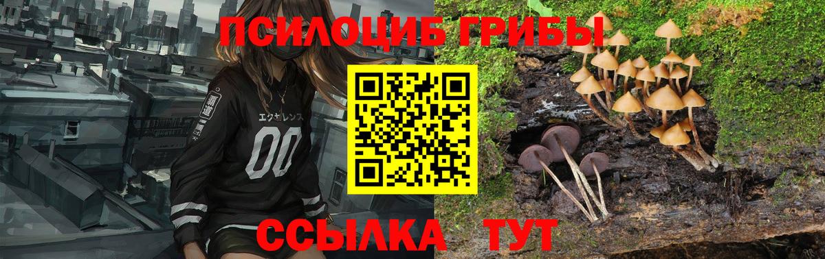 Псилоцибиновые грибы Psilocybine cubensis  Вход с VPN  Екатеринбург 